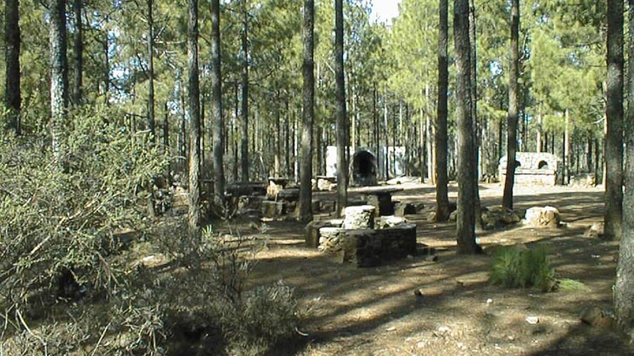 Camping Llanos de la Mimbre - Agaete